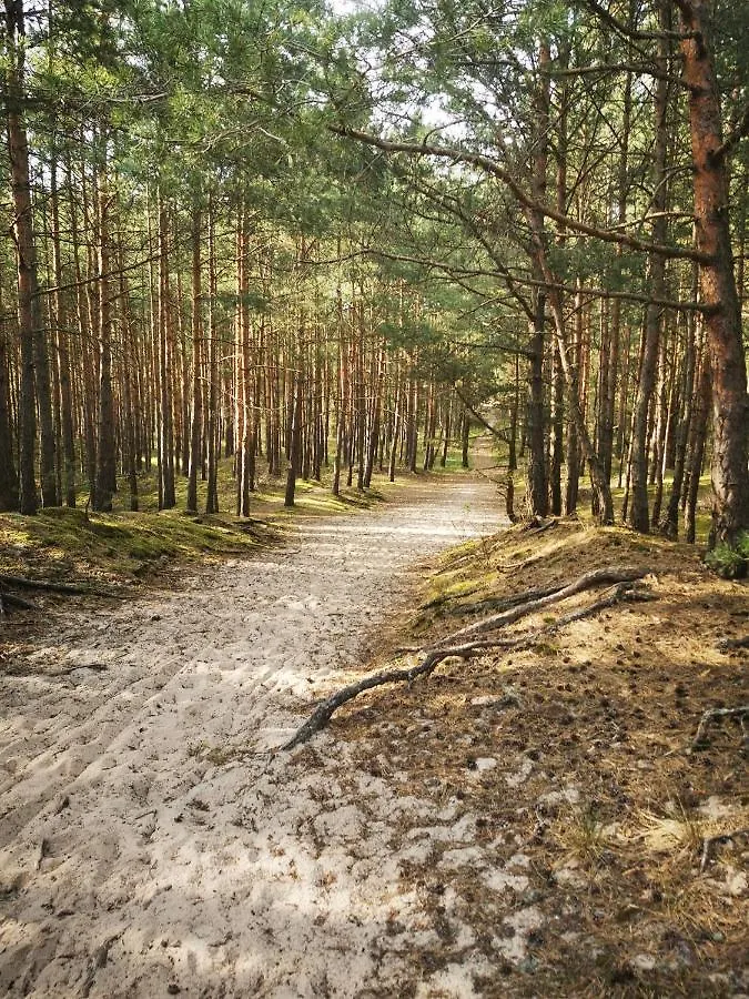 Lodge Karuba Resort, Sobieszewo- Gdansk - Wyspa Sobieszewska